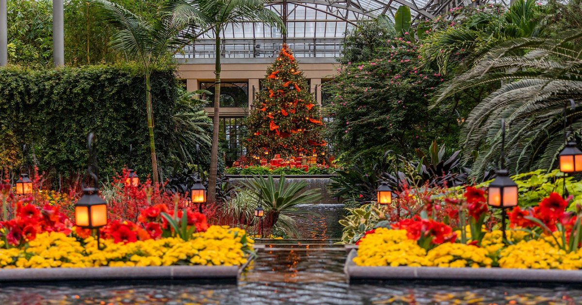 Plantology on Tap A Longwood Christmas Longwood Gardens